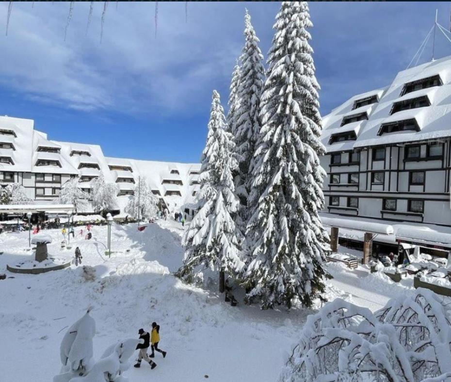Tim 135 Konaci-Angella Centar Apartment Kopaonik Bagian luar foto