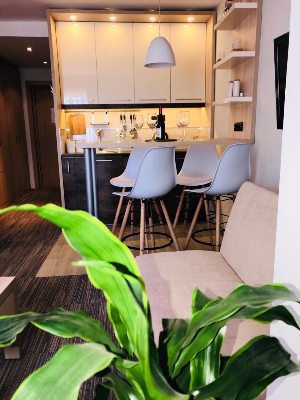 Tim 135 Konaci-Angella Centar Apartment Kopaonik Bagian luar foto